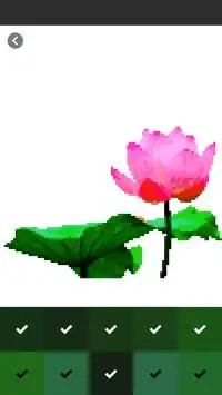 Lotus Flower Pixel Art Coloring By Number Screen Shot 2