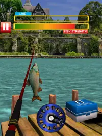 Real Fishing Pro 3D Screen Shot 0