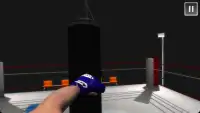 Boxing Mania Screen Shot 2
