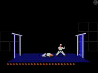 Karateka Classic Screen Shot 9
