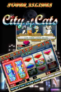 SUPER 25LINES CITY OF CATS Screen Shot 6