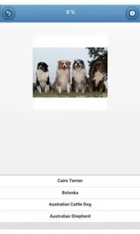 Dog breeds - quiz Screen Shot 1