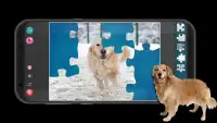 Golden Retriever Dogs Screen Shot 5