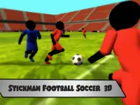 Stickman Football (Soccer) 3D Screen Shot 4