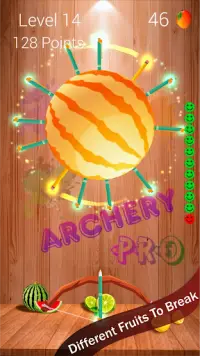 Archery PRO Screen Shot 1