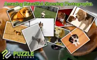 Free Beagle Puzzle Games Screen Shot 5