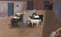Animals Farm Escape - Screen Shot 4
