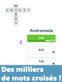 Crosswords Pack Screen Shot 2