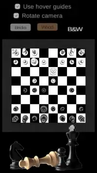 Chess 3D 2Player Screen Shot 0