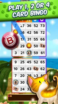 My Bingo Life - Bingo Games Screen Shot 1