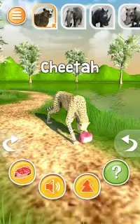 Animale Simulatore 3D - Cheetah ecc. Screen Shot 17