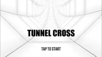 Tunnel Cross 3D Screen Shot 1