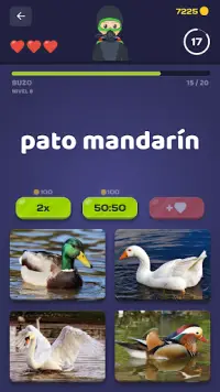 Animales Quiz Multijugador: Aprende en 29 idiomas Screen Shot 2