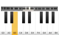 Piano For Beginners Screen Shot 1