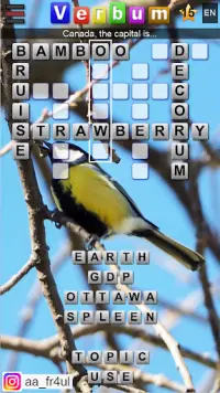 Verbum-Crossword multilanguage Screen Shot 2