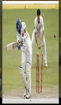 Cricket Games Screen Shot 1