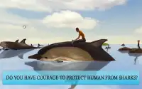 Dolphin Rescue Simulator 2016 Screen Shot 2