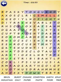 Word Search Plus Screen Shot 11