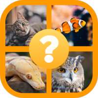 Animals Quiz - Guess Animals Fish Birds Snakes