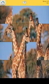 Animals puzzles for kids Screen Shot 3