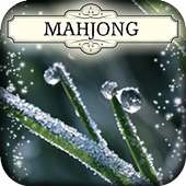 Mahjong oculto: Winter Frost