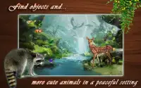 Hidden Object - Jungle Raccoon Screen Shot 4