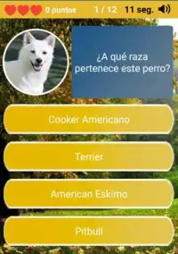 Todo sobre Perros - Quiz Screen Shot 0