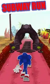Subway Hedgehog Adventure: Dash Runner jump Game Screen Shot 1