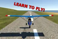 Ultralight Flight Sim Screen Shot 1