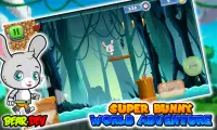 Super Bunny World Adventure Screen Shot 3
