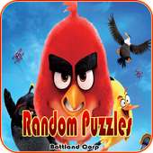 Random Angry Red Bird Puzzles