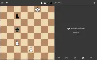 Chess Endgame Training Screen Shot 9