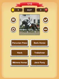 Horse Quiz Screen Shot 16