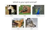 Test: Your pet Screen Shot 4