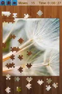 Leaf Jigsaw Puzzles Screen Shot 2