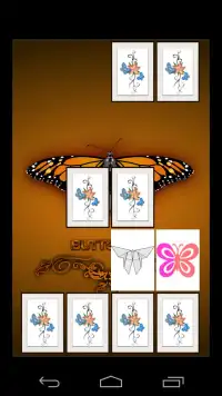 Memory Match: Butterfly Screen Shot 2