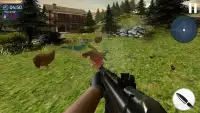 Real Sniper Chicken Shoot Hunter Screen Shot 2