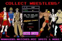 80s Mania Wrestling 90s Xtreme Screen Shot 1