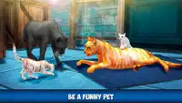 Home Cat City Survival - Lost Kitten Adventure Screen Shot 0