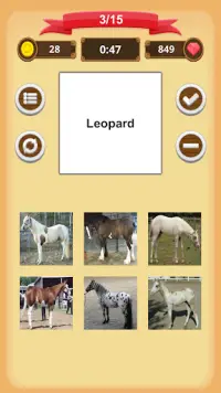 Horse Coat Colors Quiz Screen Shot 5