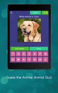 Guess The Animal: Animal Quiz Screen Shot 14