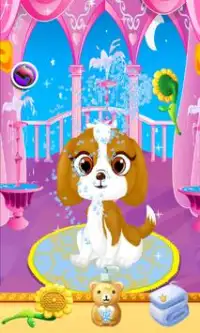 Animal Pet Hair Salon gier Screen Shot 3