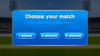 Cricket 2 mb Games Screen Shot 1