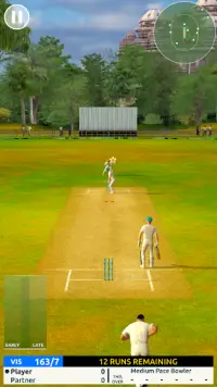 Cricket Megastar Screen Shot 1