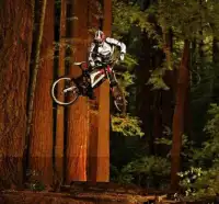 Bikes Downhill Screen Shot 1