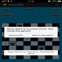 Chess Queen,Rook,Bishop & Knight Problem Screen Shot 0