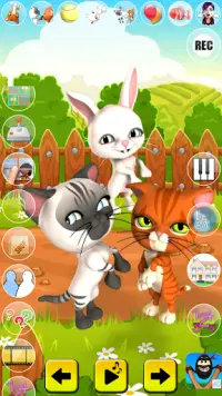 Talking Cat and Bunny Screen Shot 0