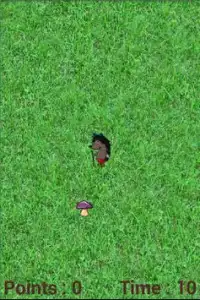Crazy Hedgehog Game Screen Shot 2