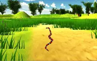 Hungry Anaconda الأفعى سيم 3D Screen Shot 19