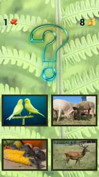 ZOO sounds quiz Screen Shot 1